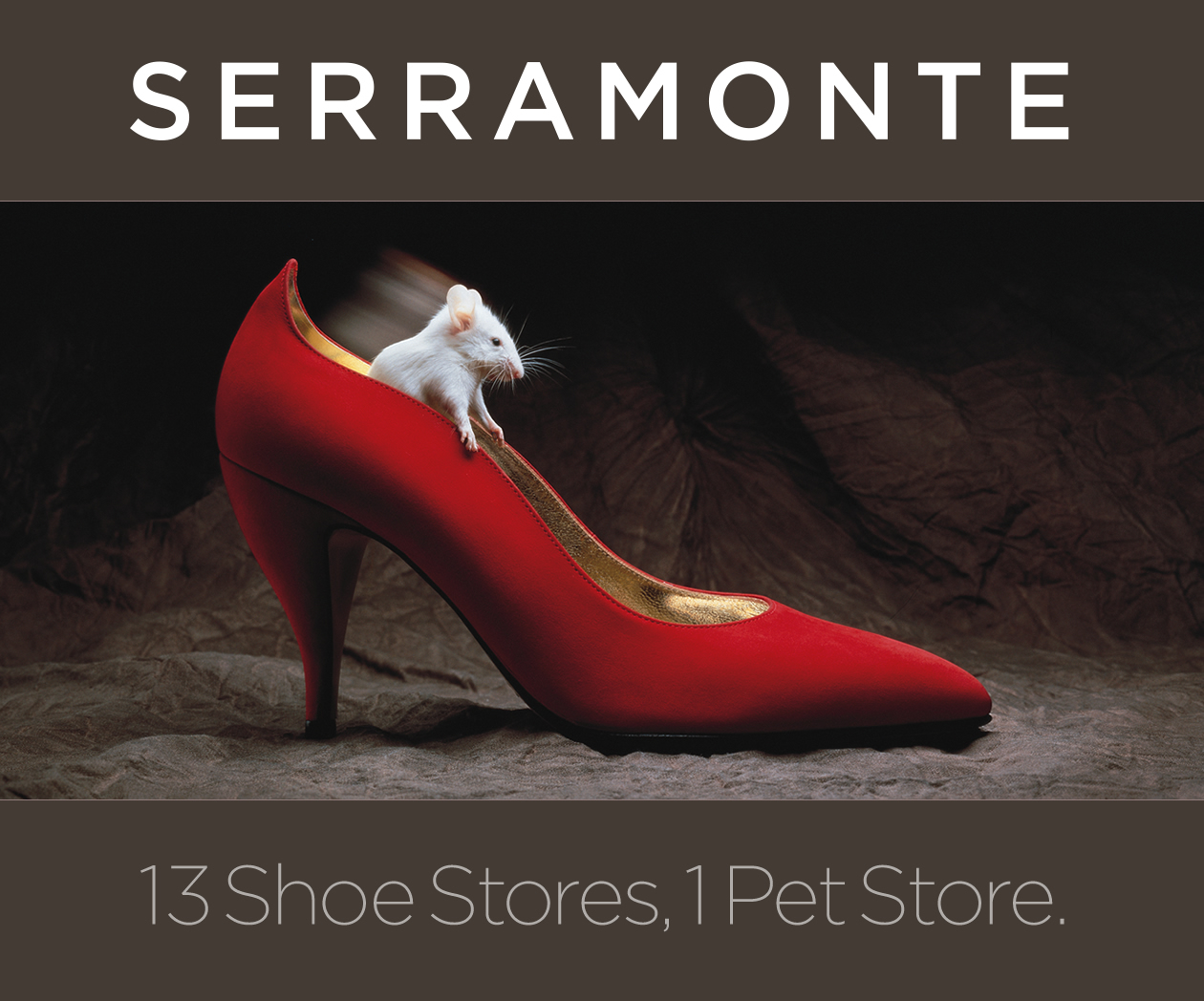13 shoe stores, 1 pet store
